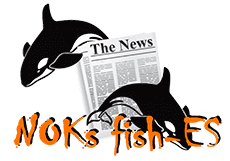NOKS FISHES — моніторинг ЗМІ, аналіз реклами та контенту, 
					дослідження ефективності медіа та репутаційний консалтинг